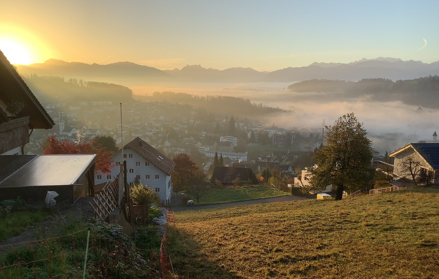 Nachrichten Linkding MAZ-Medienwoche Wanderungen Nebel