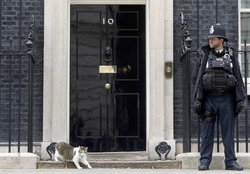 Larry der «Chief Mouser to the Cabinet Office» vor dem Amtssitz in London.