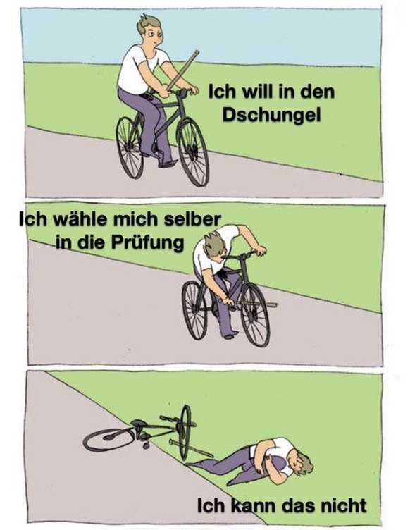 Nachrichten Linkding Dschungelcamp 2025: Die besten Memes und Posts
