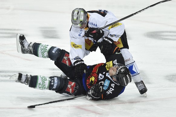 Berns Martin Pluess, unten, im Duell mit Zugs Dominic Lammer, im Eishockey National League A Spiel zwischen dem SC Bern und dem EV Zug, am Samstag, 30. Januar 2016, in der PostFinance Arena in Bern. ( ...