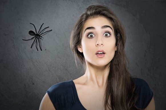 Angst vor Spinnen könnte schon bald der Vergangenheit angehören.