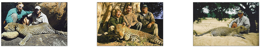 In der Mitte ein Bild mit Seltenheitswert. Nicht wegen des Leoparden, der laut&nbsp;Roter Liste gefährdeter Arten als «gering gefährdet» eingestuft wird, sondern weil eine Frau auf dem Foto zu sehen i ...