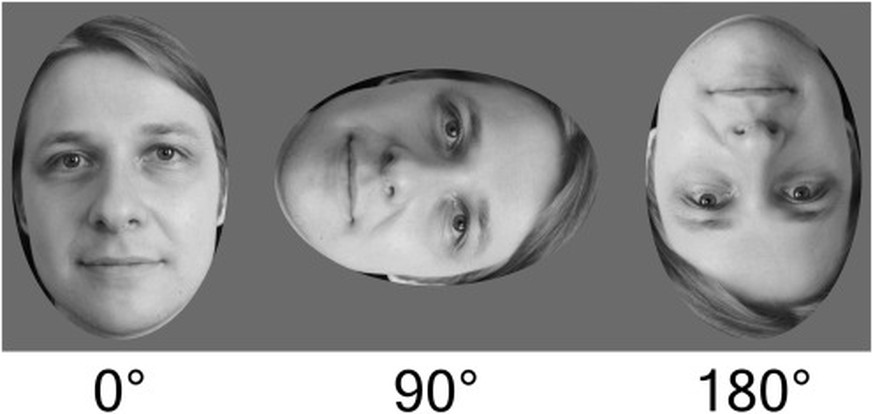 Testgesichter zu einem wissenschaftlichen Experiment