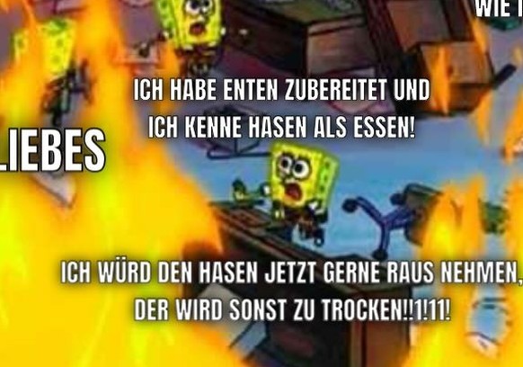 Nachrichten Linkding Die lustigsten Posts zum Dschungelcamp