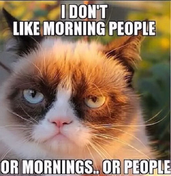 Ich mag keine Morgenmenschen. Oder Morgen. Oder Menschen.