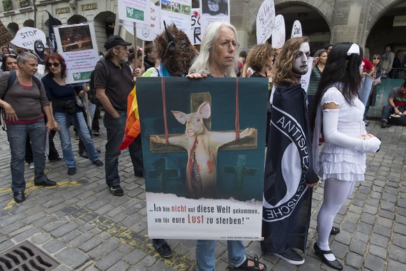 Einige hundert Veganer demonstrieren u.a. fuer die Schliessung aller Schlachthaeuser bei einem friedlichen Demonstrationsumzug durch die Berner Altstadt am Samstag, 12. Juli 2014 in Bern. (KEYSTONE/Lu ...