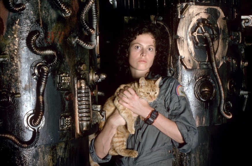 ... und so im «Alien» Raumschiff von Ellen Ripley (Sigourney Weaver). Man beachte das herzige Büsi!