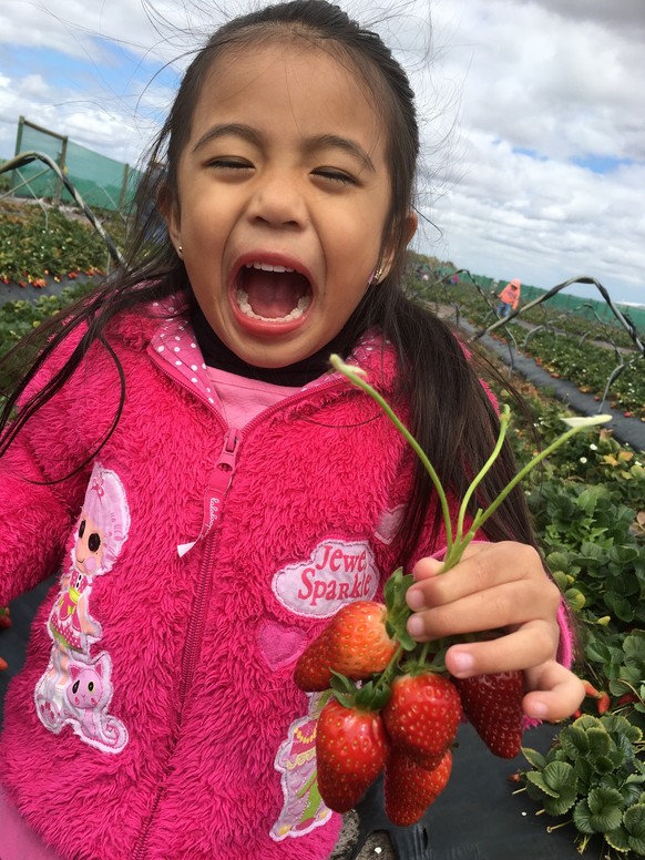 Dein Gesicht wenn du deine eigenen Erdbeeren pflückst.