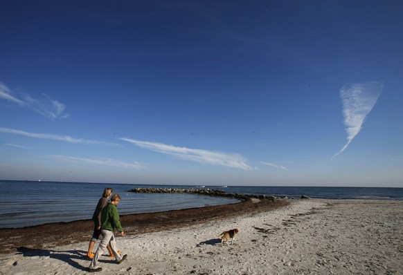 Hier der Strand von Heidkate an der Ostsee in Schleswig-Holstein.