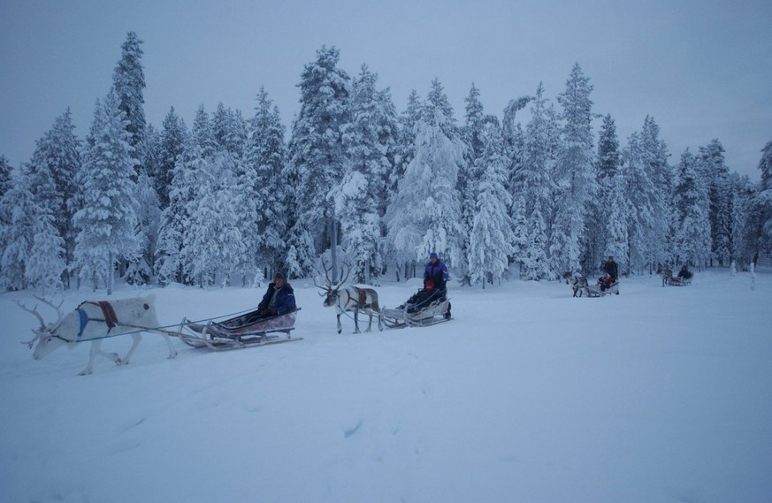 Locals make their way through a snow-covered landscape as light diminishes in Salla, northern Lapland region, Finland, 23 December 2004. The mean snow depth is around 30 cm and makes a reindeer drive  ...