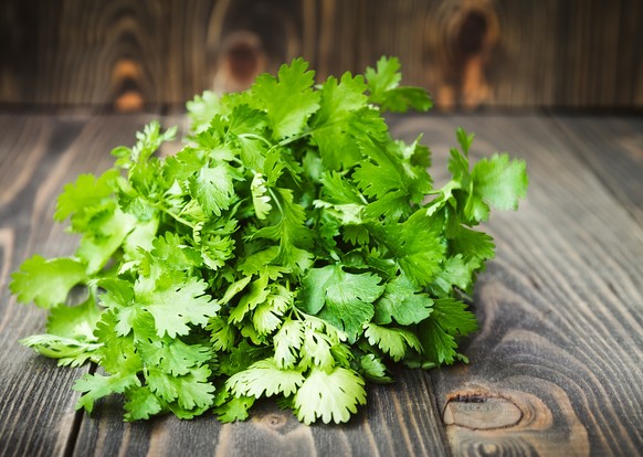 koriander coriander cilantro gewürz kräuter asiatisch kochen essen food