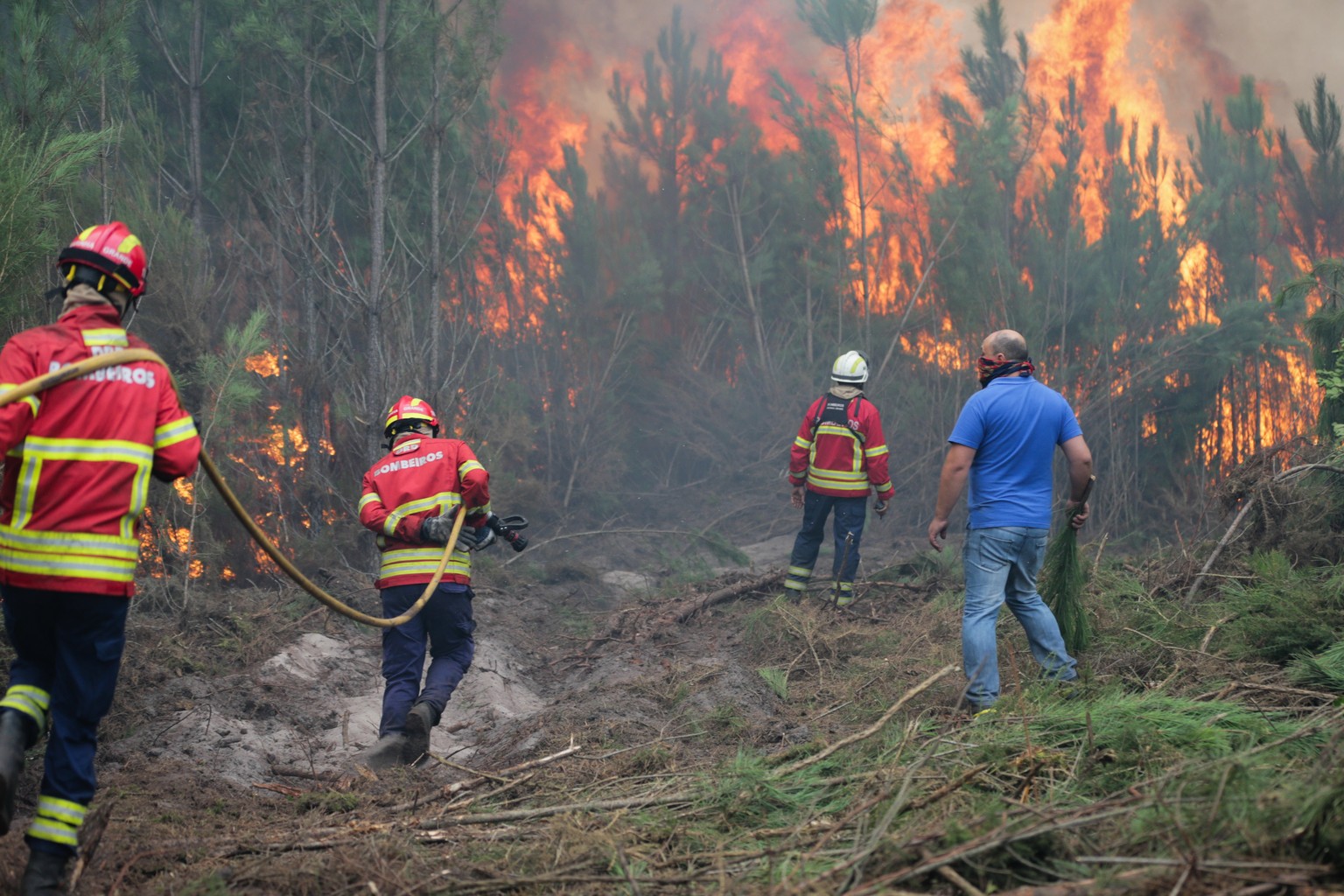 epa06269672 Fire fighters combat a forest fire in Gaeiras, Marinha Grande, Center of Portugal, 16 October 2017. Reports state that 6000 firemen supported by 1800 land vehicles are fighting several wil ...