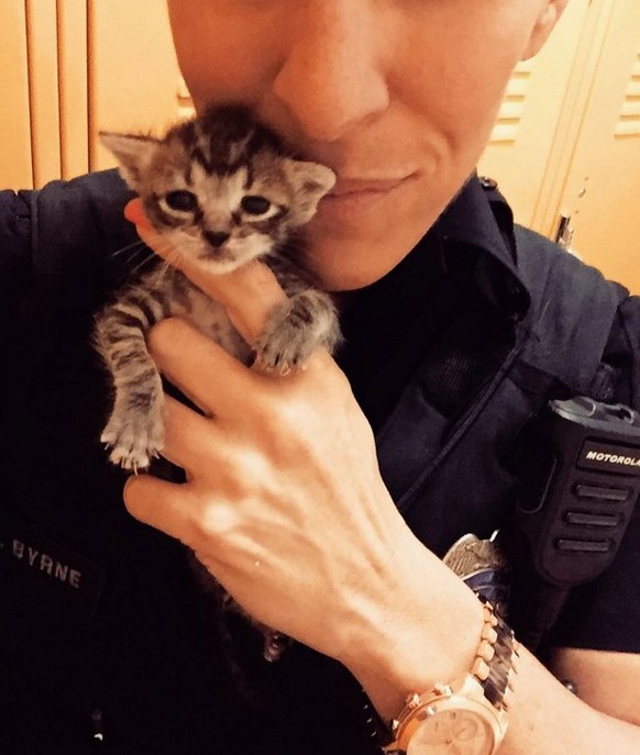 Polizistin rettet Katzen.