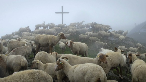 epa04335689 Sheeps stand next to cross at the top of the Pointe Noire de Pormenaz in the French Alps, near Chamonix, France, 30 July 2014. EPA/OLIVIER HOSLET