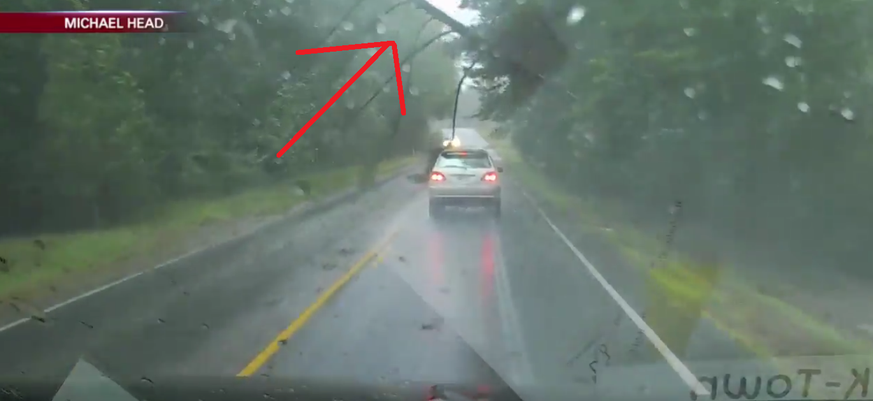 Eine Autofahrerin in Georgia wird beinahe von einem herunterfallenden Baum gestoppt.