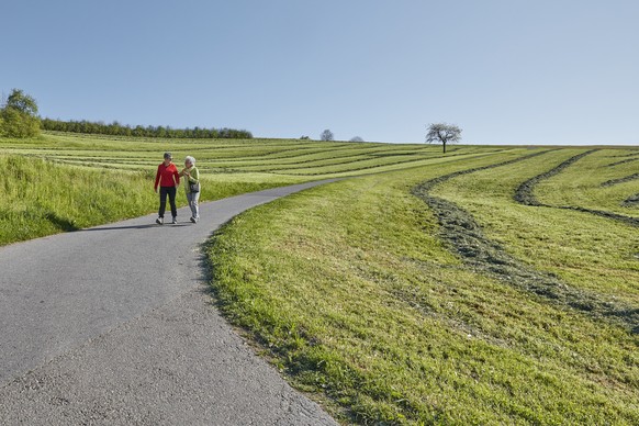 [Symbolic Image, Staged Picture] Two women take a walk on the Sonnenberg mountain, in Kriens, in the canton of Lucerne, Switzerland, on April 10, 2017. (KEYSTONE/Christof Schuerpf)

[Symbolbild, Geste ...