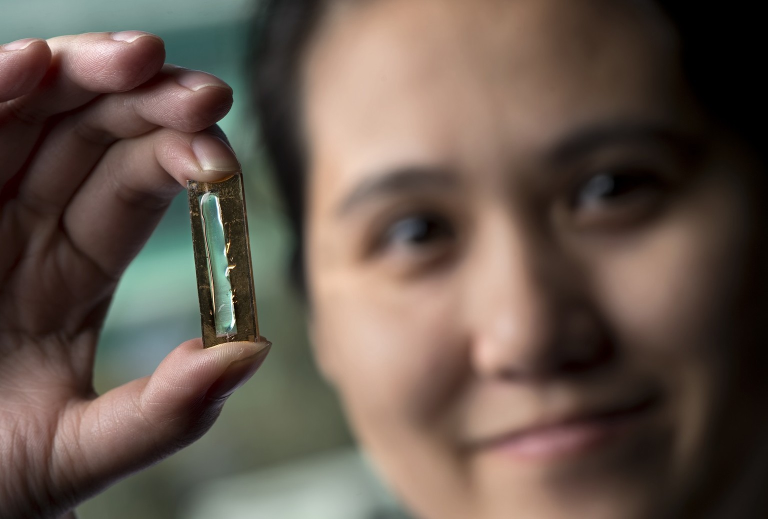UCI chemist Reginald Penner and doctoral student Mya Le Thai, shown, have developed a nanowire-based battery technology that allows lithium ion batteries to be recharged hundreds of thousands of times ...