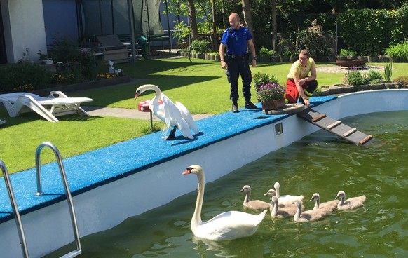 Das eine Elternteil gelang der Sprung aus dem Pool.