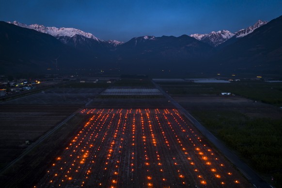 Anti-frost candles burn in a vineyard, in the middle of the Swiss Alps, in Saxon, Canton of Valais, Switzerland, Thursday, April 20, 2017. Due to unusually low temperatures wine growers try to protect ...