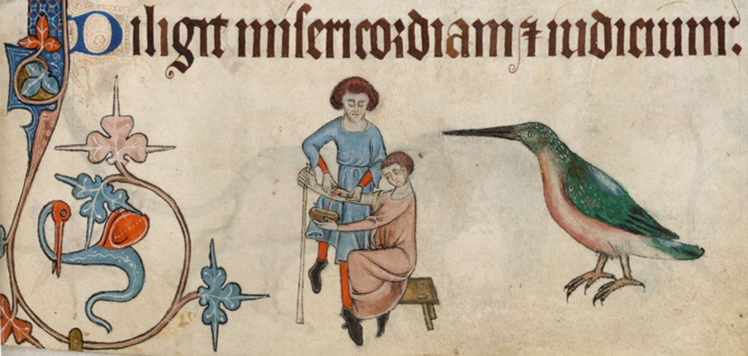 Aderlass, Miniatur aus dem Luttrell-Psalter, London, 14. Jahrhundert.