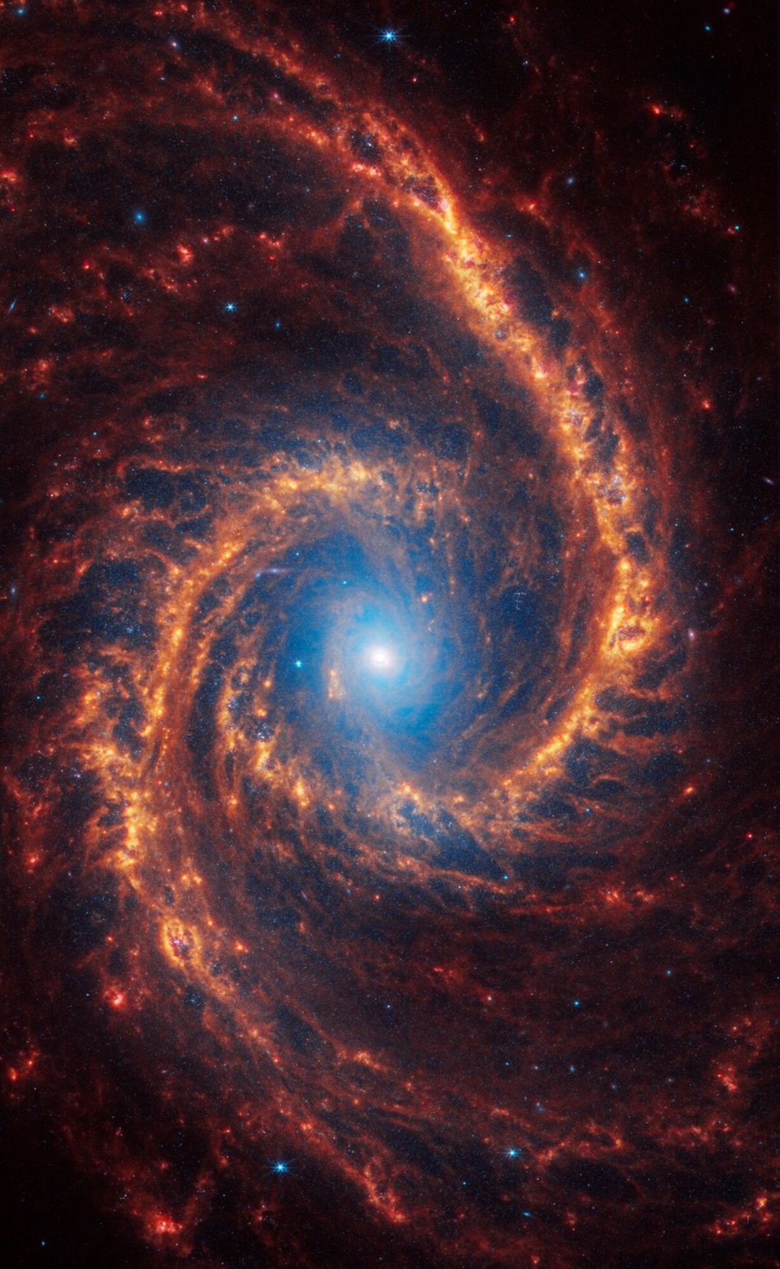 Nachrichten Linkding Spiral galaxy NGC 1566 is 60 million light-years away in the constellation Dorado.