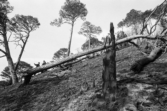 Im Rahmen einer Schiessuebung der Schweizer Armee auf dem Waffenplatz St. Luzisteig wird am 5. Dezember 1985 ein Wald der Gemeinde Balzers im Fuerstentum Liechtenstein in Brand gesetzt, aufgenommen am ...