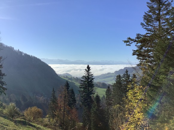 Nachrichten Linkding MAZ-Medienwoche Nebelwanderungen Scheidegg
