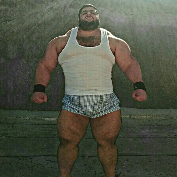 Sajad Gharibi: der iranische Hulk.