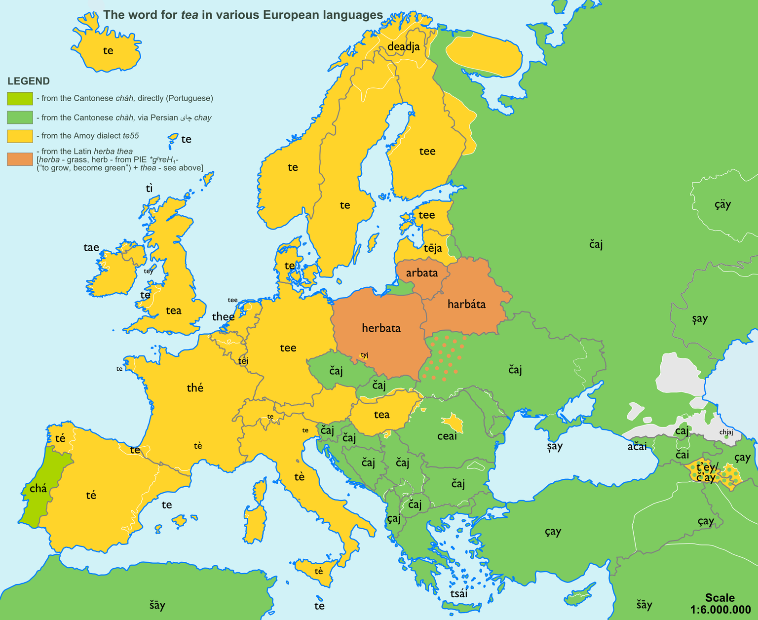 In allen gelb gefärbten Ländern hat sich die chinesische Herkunft «Te» aus dem Amoy-Dialekt eingebürgert.