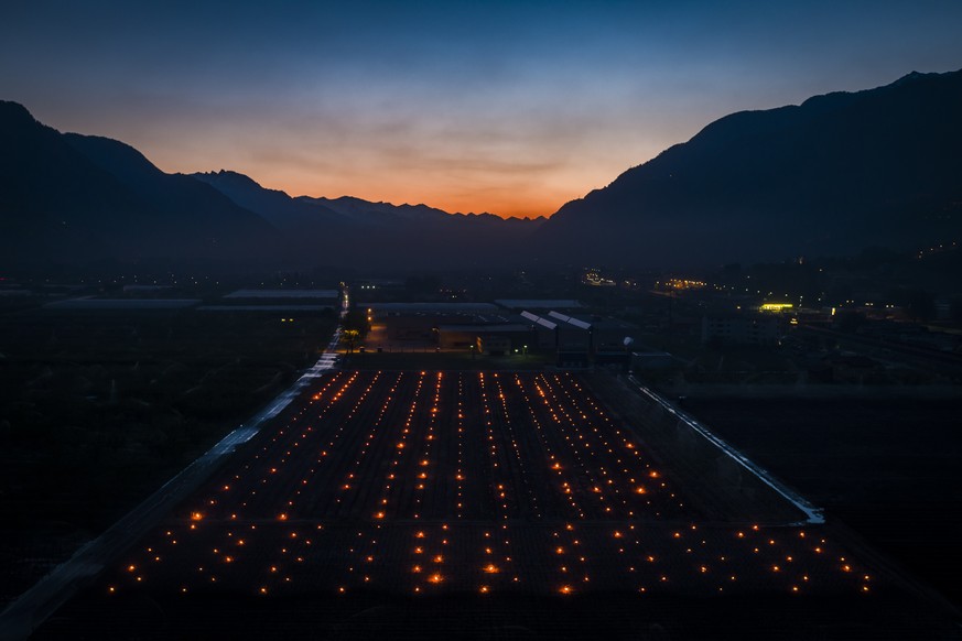 Anti-frost candles burn in a vineyard, in the middle of the Swiss Alps, in Saxon, Canton of Valais, Switzerland, Thursday, April 20, 2017. Due to unusually low temperatures wine growers try to protect ...