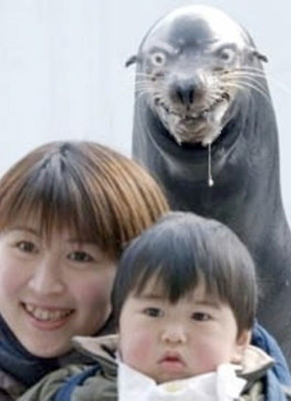 Creepy Photobomb
http://cdn.viralscape.com/wp-content/uploads/2014/07/Scary-Photobomb-22.jpg