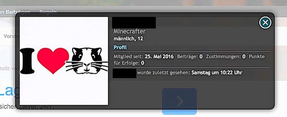 Pauls Avatar und Profil auf Minecraft.