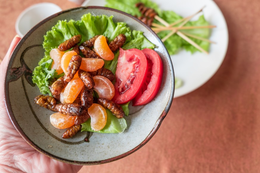 Salat mit Würmern als Protein-Beilage – warum nicht?