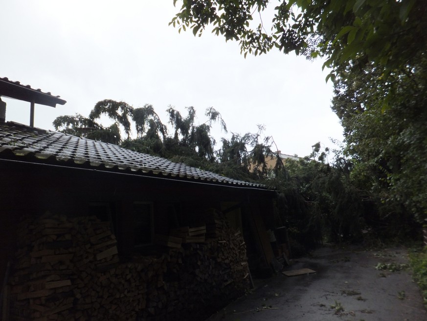 In Balgach musste die Feuerwehr an der Weierseggstrasse einen Baum entfernen, der auf ein Haus gestürzt war. (Bild: Kapo St.Gallen)