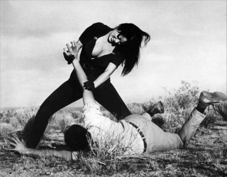 Faster Pussycat kill kill russ meyer