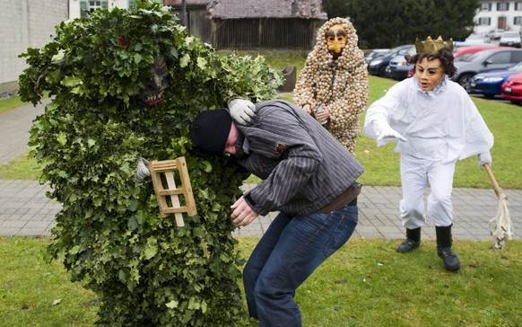 Die Baerzeli, traditionelle Gestalten mit Tannenreisig-, Stechpalmen-, Stroh- und Schnecken-Gewaendern, wuenschen am Berchtoldstag, 2. Januar 2012, in Hallwil den Dorfbewohnern unzimperlich ein gutes  ...