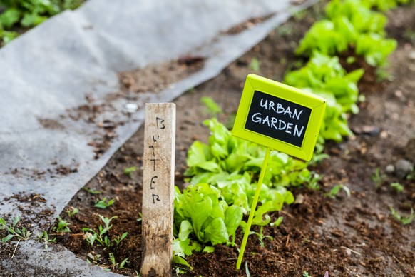 Der neue Trend: Urban Gardening.