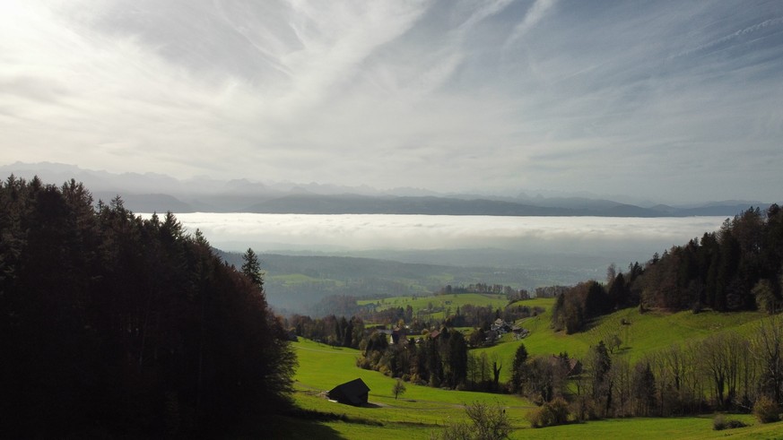 Nachrichten Linkding MAZ Medienwoche Wanderung Bachtel