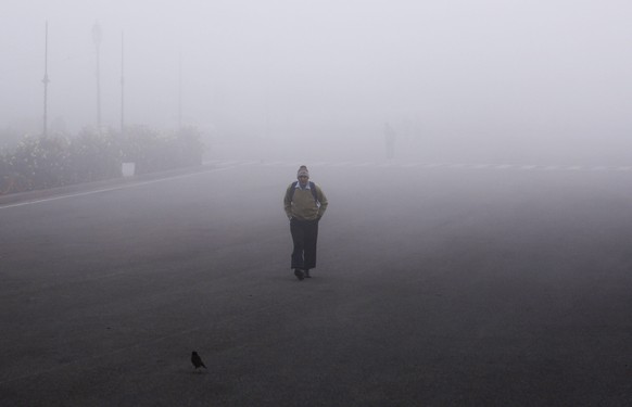 epa05763948 An Indian man makes his way through dense fog at Raisina Hill in New Delhi, India, 01 February 2017. According to media reports, New Delhi was covered with dense fog in the morning, reduci ...