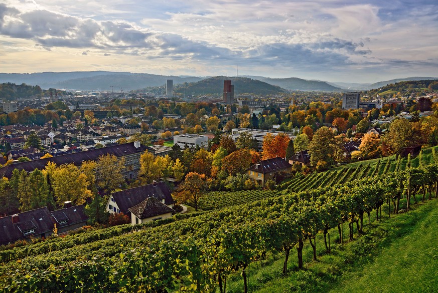 Blick vom Goldenberg auf das Stadtzentrum von Winterthur