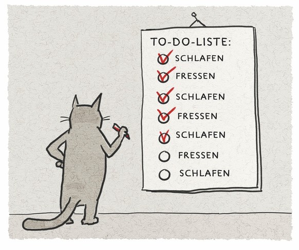 Katzen Cartoons Nebelspalter. Copyright: Martin Grolik/Nebelspalter