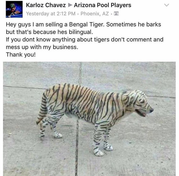 Hund sieht aus wie ein Tiger.
Cute News
http://i.imgur.com/GLUWZbb.jpg
