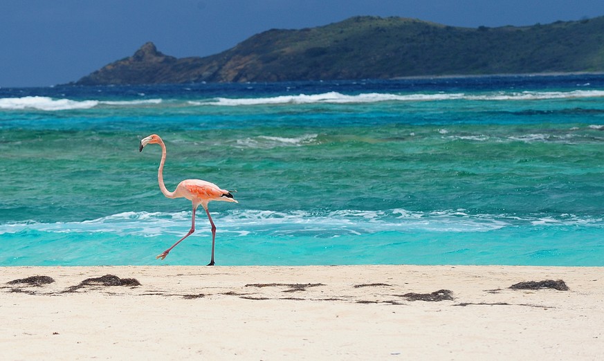 Necker Island: Hier lässt es sich gut leben – und Geld parkieren.