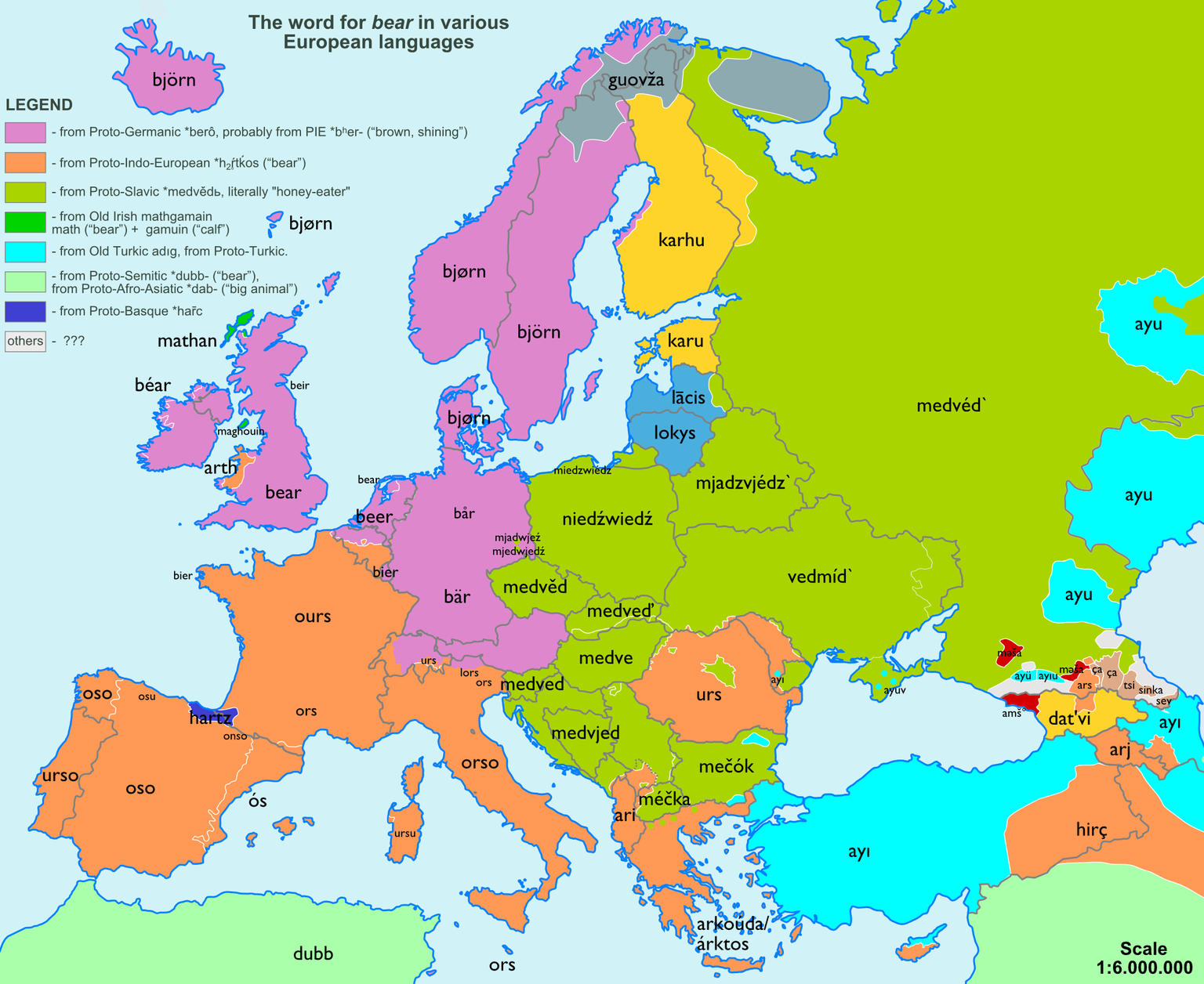 Im deutschen Sprachraum hat das Wort Bär seine Wurzeln im Urgermanischen, das auch in Teilen Skandinaviens (Björn) und Grossbritanniens (Bear) seine Spuren hinterlassen hat.