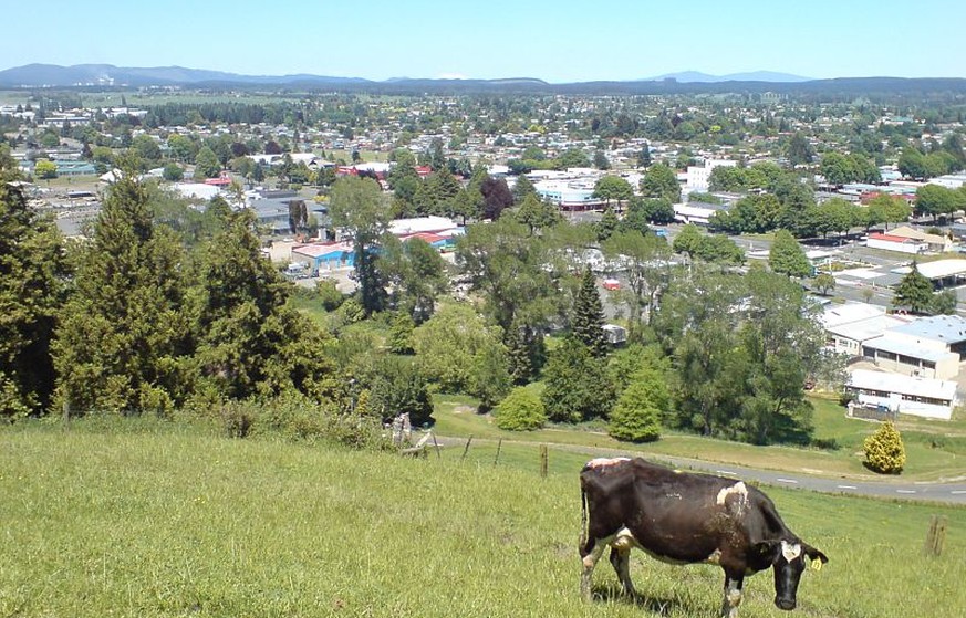 Könnte schlimmer sein, oder? Tokoroa, im Norden Neuseelands.