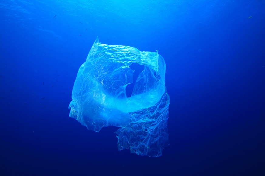 Fische fressen Plastikmüll – und wenn sie auf unserem Tisch landen, nehmen auch wir den Unrat auf.&nbsp;