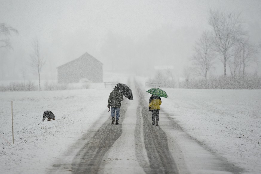 Nachrichten Linkding Menschen spazieren im Schnee, am Samstag, 5. Maerz 2016, in Sargans. Dieses Wochenende kommt der Winter zurueck: In erhoehten Lagen erwartet MeteoNews aufs Wochenende hin vor allem im Sueden ueber ein ...