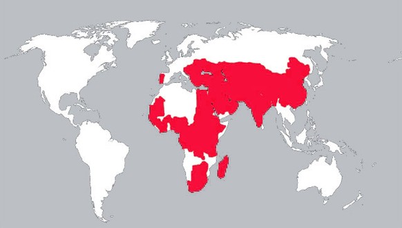 Verbreitungsgebiet des Krim-Kongo-Fiebers.&nbsp;