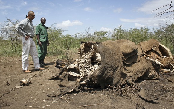 In this Wednesday, Feb. 13, 2013 photo, Pratik Patel, left, the owner of the tour company Safari Legacy, and a member of the Village Game Scouts, a security force made up of villagers trying to protec ...