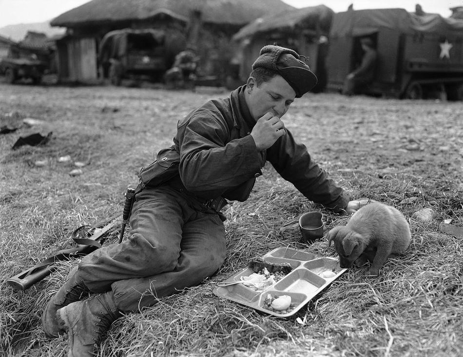 Pvt. Dick L. Powell, of Findlay, Ohio, and his friend &#039;Fuzzy&#039; share a meal near the front in 35th Reg, 25th Div area on March 12, 1951. 8-- Fuzzy looks on hungrily then 9 and 10 he digs in.  ...